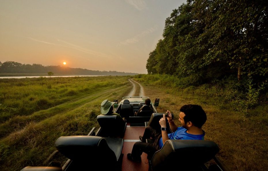 Kasara Jungle Resort