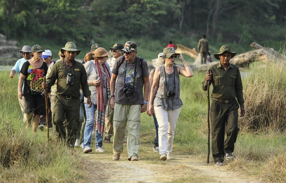 Kasara Jungle Resort