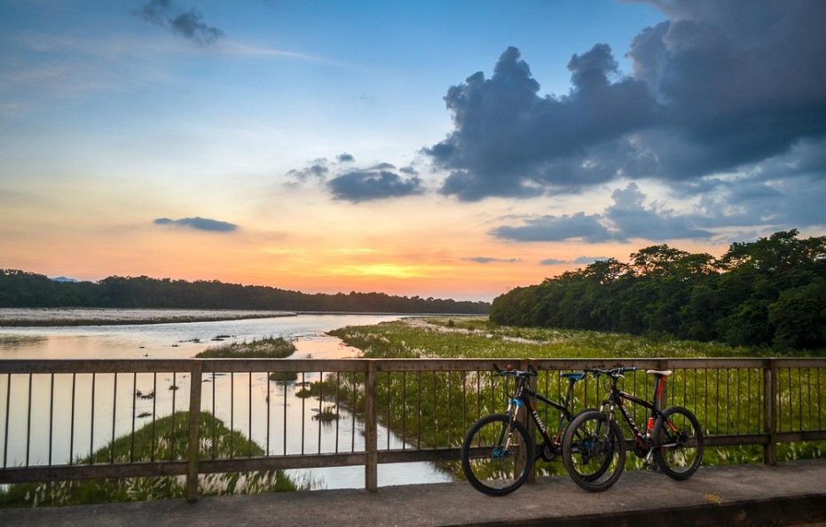 Kasara Jungle Resort